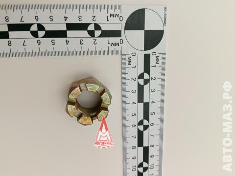 Гайка М20х1,5-6Н креп.прибора буксирн 250908 МАЗ