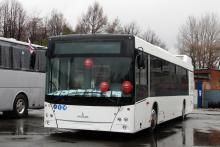 Автобус МАЗ 203C48