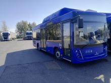 Автобус среднего класса МАЗ-206948